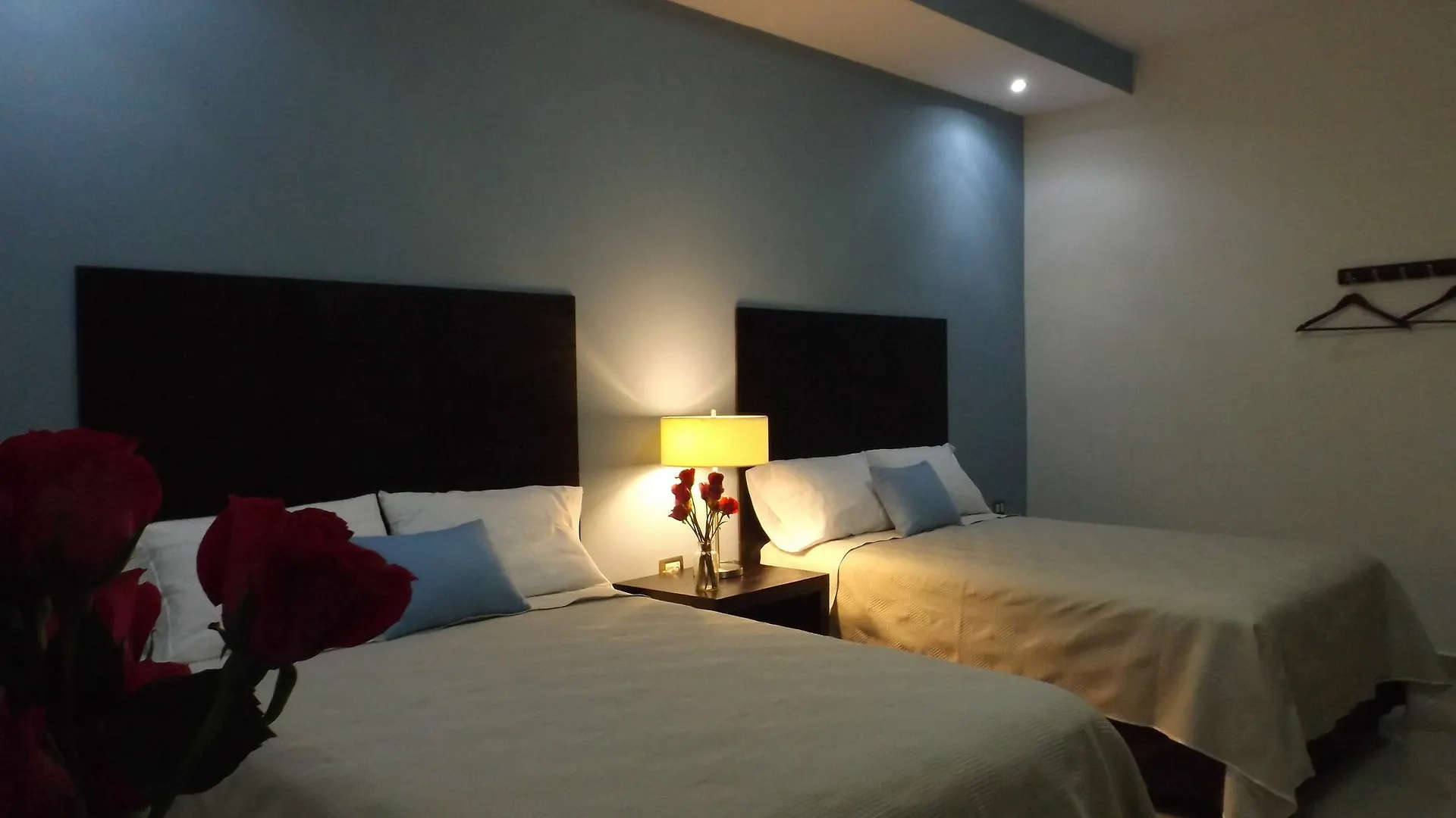 Hotel Casa Palomino Mérida Mexique