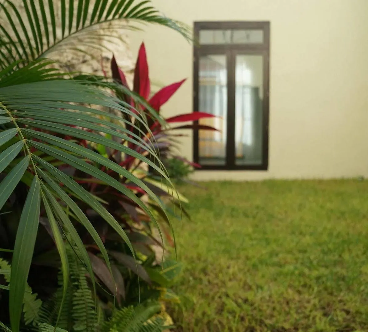 Hotel Casa Palomino Merida Mexico