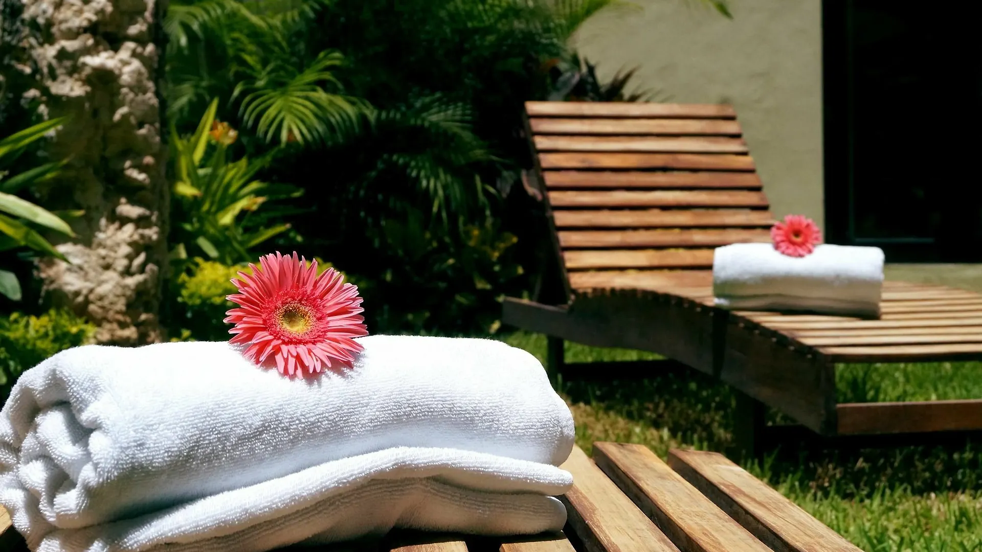 ***  Hotel Casa Palomino Merida Mexico