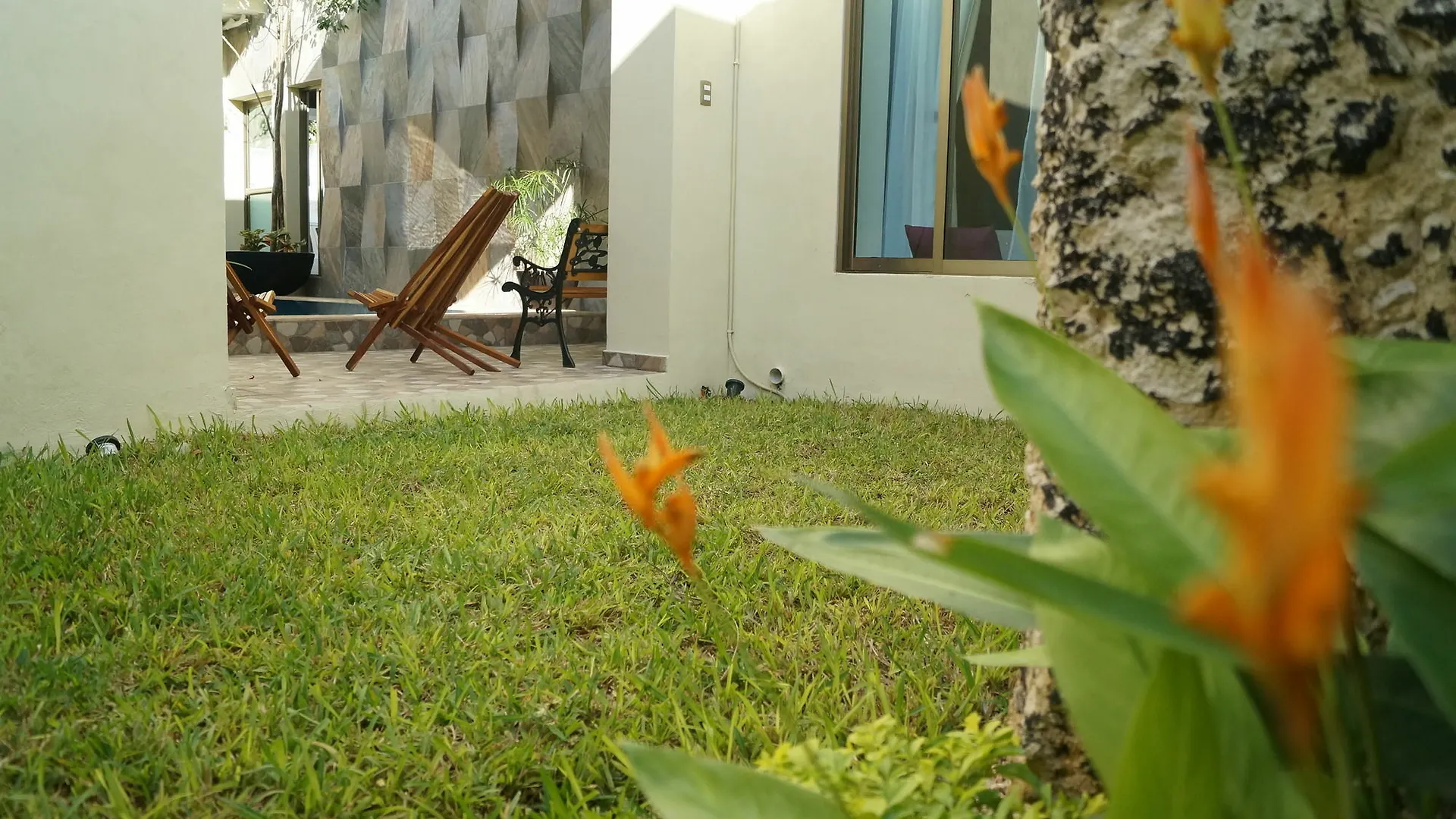 Hotel Casa Palomino Mérida